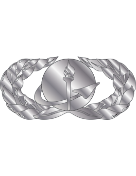 Air Force Badge No Shine Mid-Size Force Support