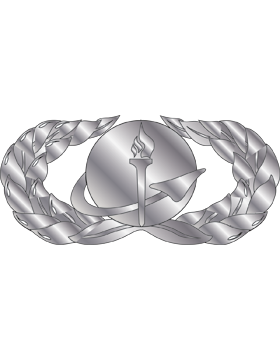 Air Force Badge No Shine Full Size Force Support