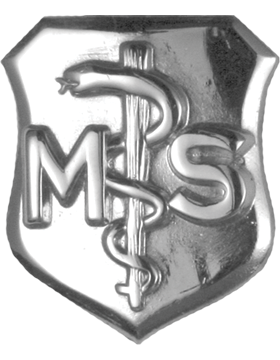 Air Force Badge No Shine Full Size Medical Service MS