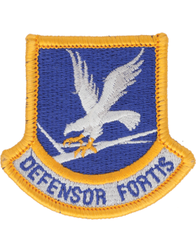Air Force Enlisted Security Forces Beret Flash