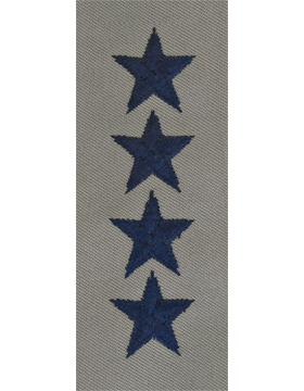 General (Point to Center) USAF Sew-On ABU