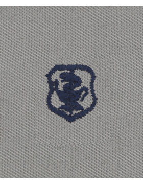 Air Force ABU Sew-on Badge Nurse