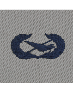 Air Force ABU Sew-on Badge Historian