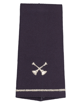 USAF Shoulder Marks Blue with Two Crossed Bugles (Pair)