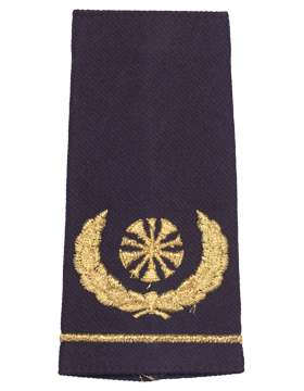 USAF Shoulder Marks Blue with Five Bugles (Chief) (Pair)