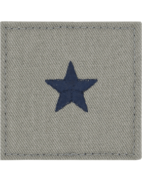 AF-SV-122, Brigadier General Foliage Green w. Fastener(Fleece Jacket)