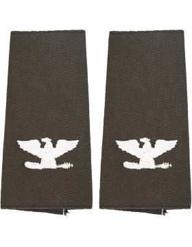 AGSU Slip-On Shoulder Mark Colonel Large (Pair)
