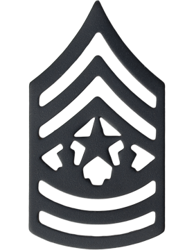 army command sergeant major insignia